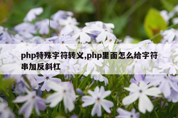 php特殊字符转义,php里面怎么给字符串加反斜杠