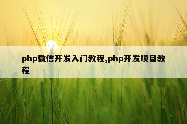 php微信开发入门教程,php开发项目教程