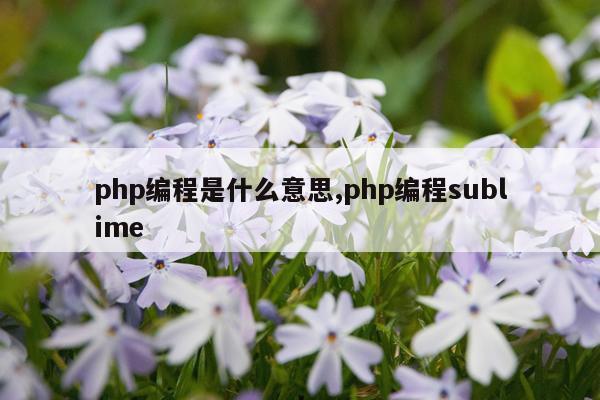 php编程是什么意思,php编程sublime