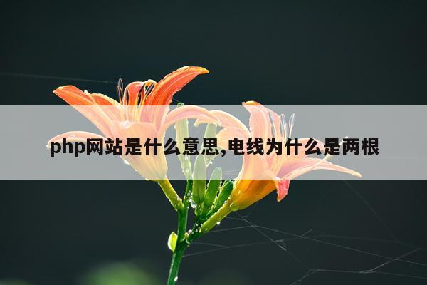 php网站是什么意思,电线为什么是两根
