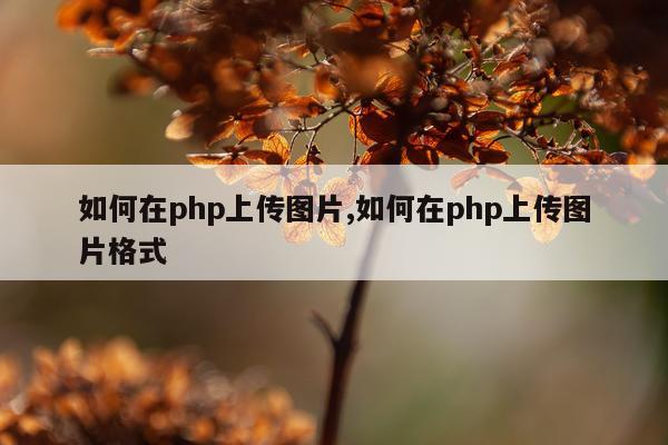 如何在php上传图片,如何在php上传图片格式