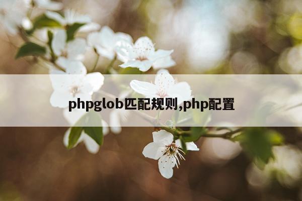 phpglob匹配规则,php配置