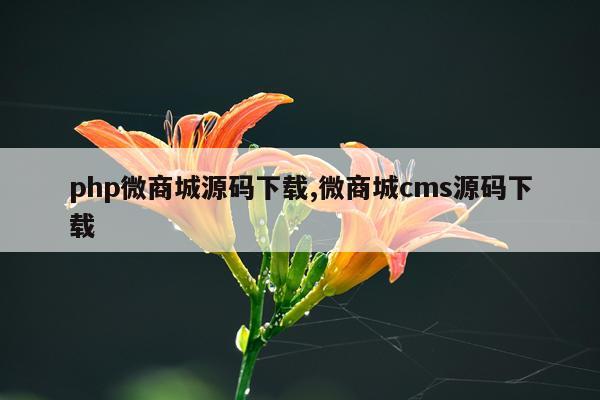 php微商城源码下载,微商城cms源码下载