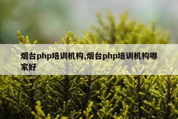 烟台php培训机构,烟台php培训机构哪家好