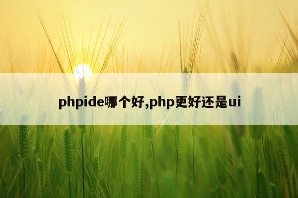 phpide哪个好,php更好还是ui