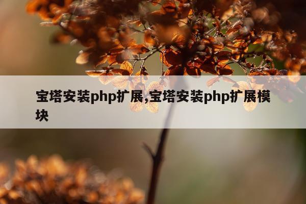 宝塔安装php扩展,宝塔安装php扩展模块