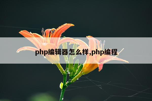 php编辑器怎么样,php编程