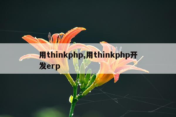 用thinkphp,用thinkphp开发erp