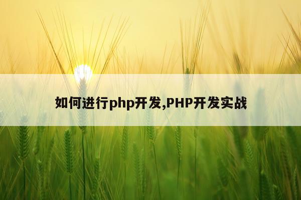 如何进行php开发,PHP开发实战