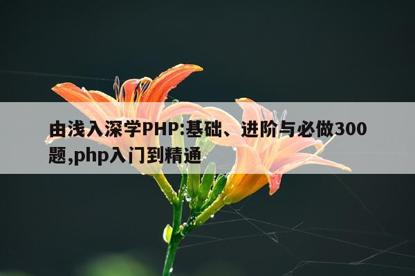 由浅入深学PHP:基础、进阶与必做300题,php入门到精通