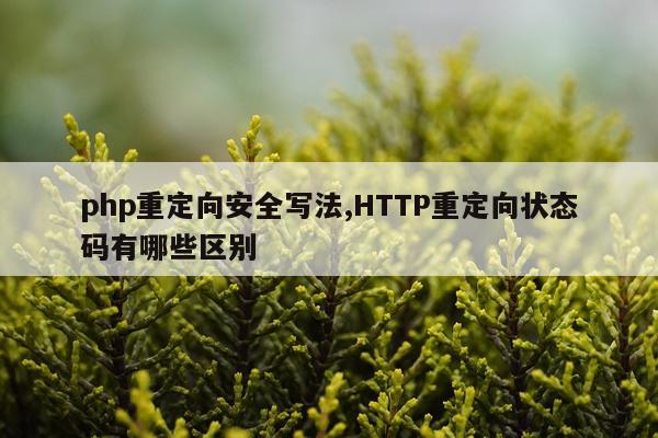 php重定向安全写法,HTTP重定向状态码有哪些区别