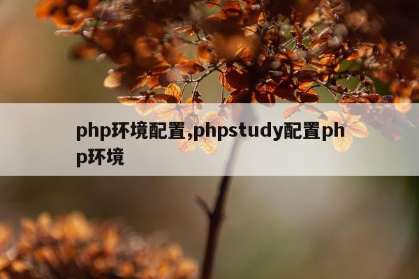 php环境配置,phpstudy配置php环境
