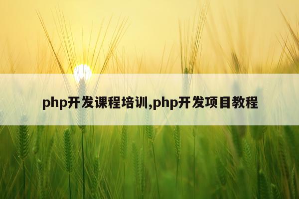 php开发课程培训,php开发项目教程