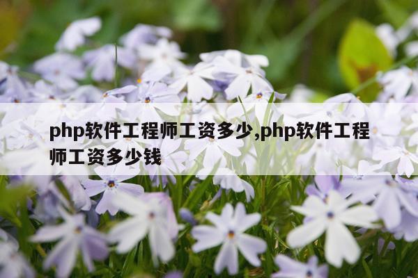 php软件工程师工资多少,php软件工程师工资多少钱