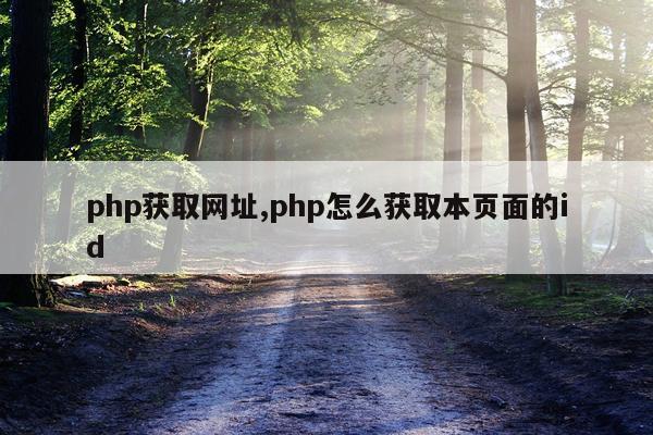php获取网址,php怎么获取本页面的id