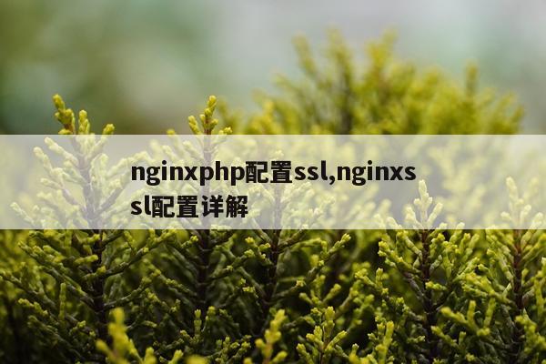 nginxphp配置ssl,nginxssl配置详解