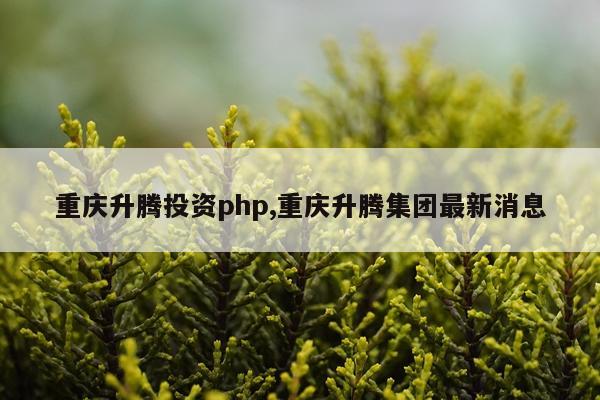 重庆升腾投资php,重庆升腾集团最新消息