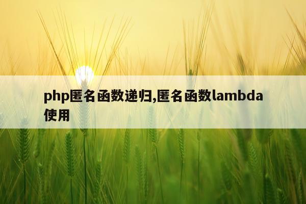 php匿名函数递归,匿名函数lambda使用