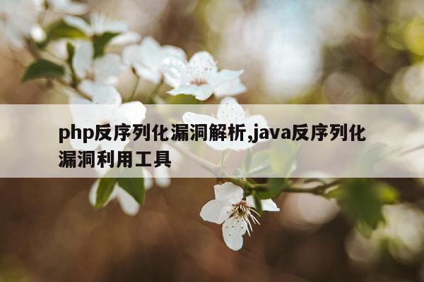 php反序列化漏洞解析,java反序列化漏洞利用工具
