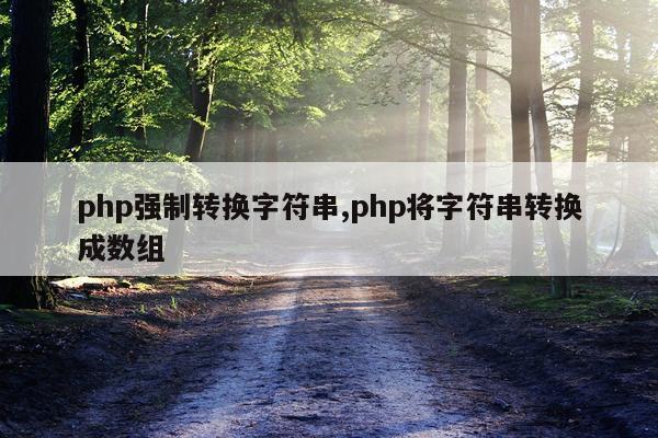 php强制转换字符串,php将字符串转换成数组