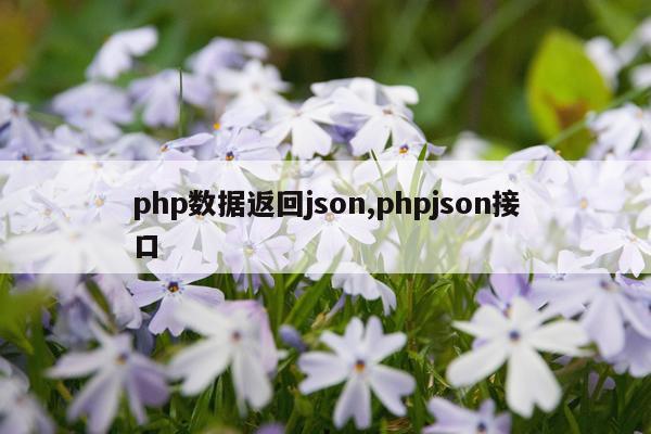 php数据返回json,phpjson接口
