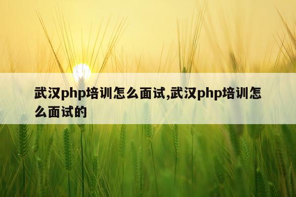 武汉php培训怎么面试,武汉php培训怎么面试的