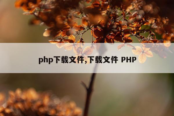 php下载文件,下载文件 PHP