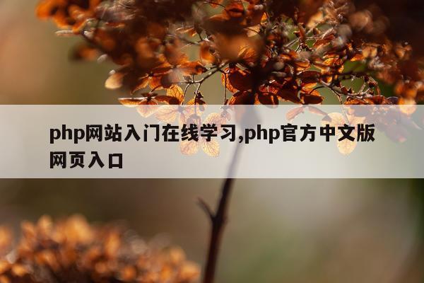 php网站入门在线学习,php官方中文版网页入口