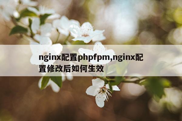 nginx配置phpfpm,nginx配置修改后如何生效