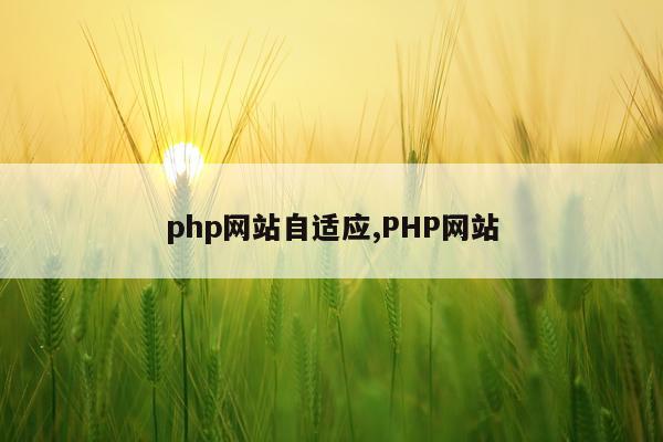 php网站自适应,PHP网站