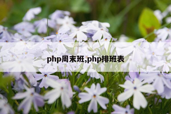 php周末班,php排班表