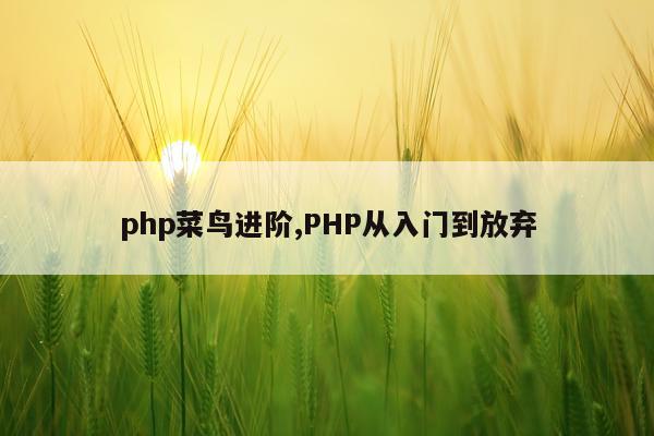 php菜鸟进阶,PHP从入门到放弃
