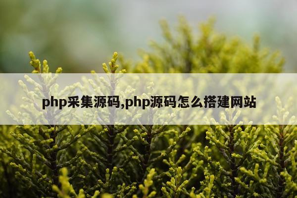 php采集源码,php源码怎么搭建网站