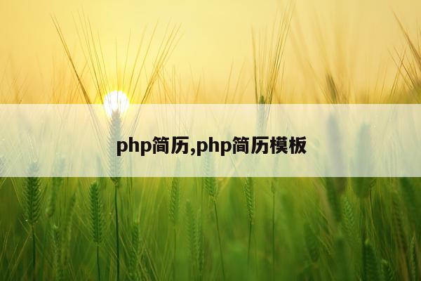 php简历,php简历模板