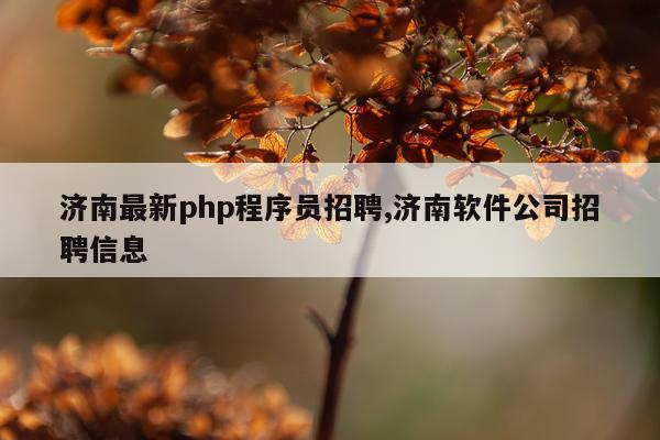 济南最新php程序员招聘,济南软件公司招聘信息