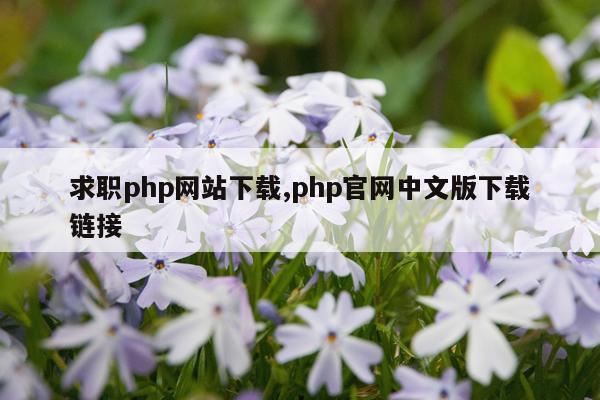 求职php网站下载,php官网中文版下载链接