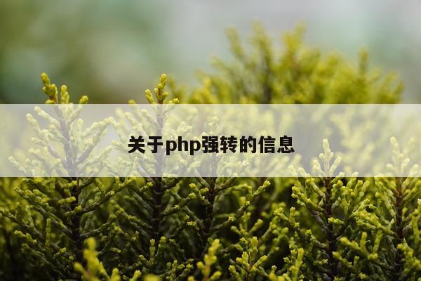 关于php强转的信息