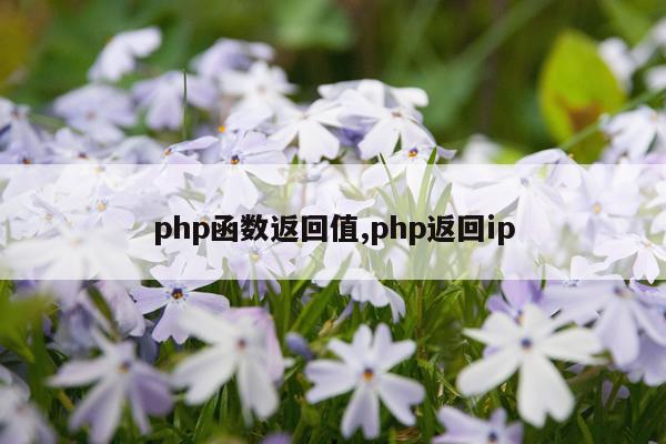 php函数返回值,php返回ip