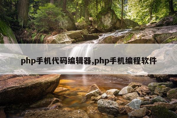 php手机代码编辑器,php手机编程软件