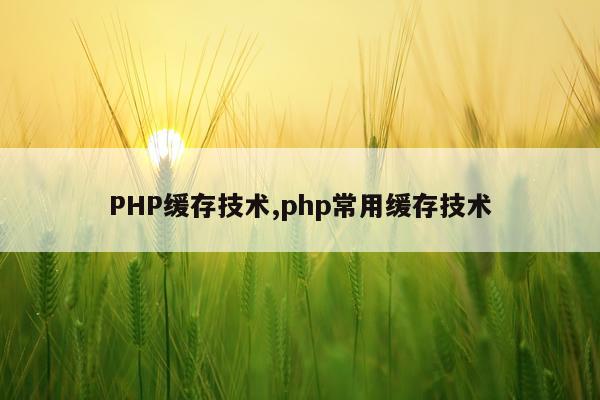PHP缓存技术,php常用缓存技术