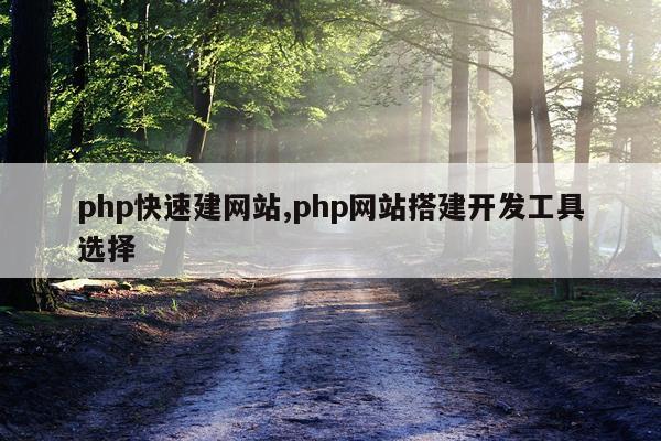 php快速建网站,php网站搭建开发工具选择