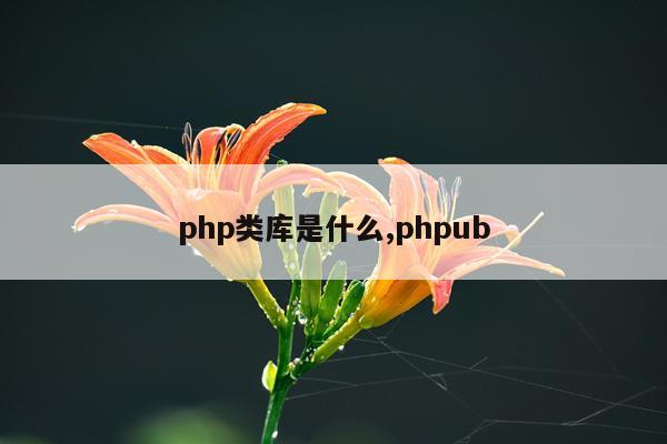 php类库是什么,phpub
