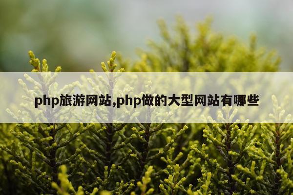 php旅游网站,php做的大型网站有哪些