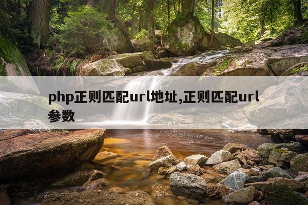 php正则匹配url地址,正则匹配url参数