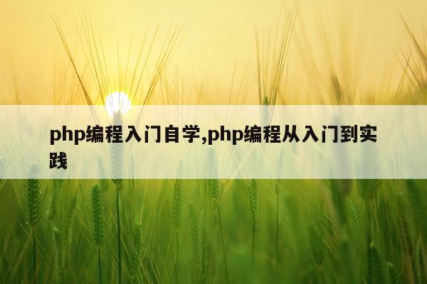 php编程入门自学,php编程从入门到实践