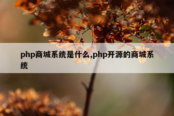 php商城系统是什么,php开源的商城系统