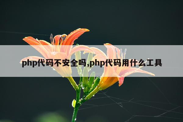 php代码不安全吗,php代码用什么工具