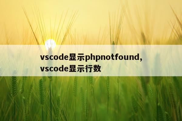 vscode显示phpnotfound,vscode显示行数