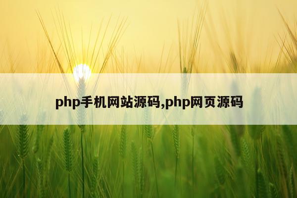 php手机网站源码,php网页源码