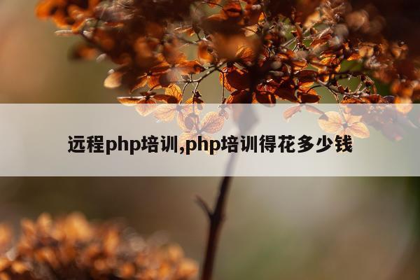 远程php培训,php培训得花多少钱
